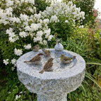 Vogelbad Granit rund ca. 35 cm mit 1 Steinvogel Granit und Edelstahl